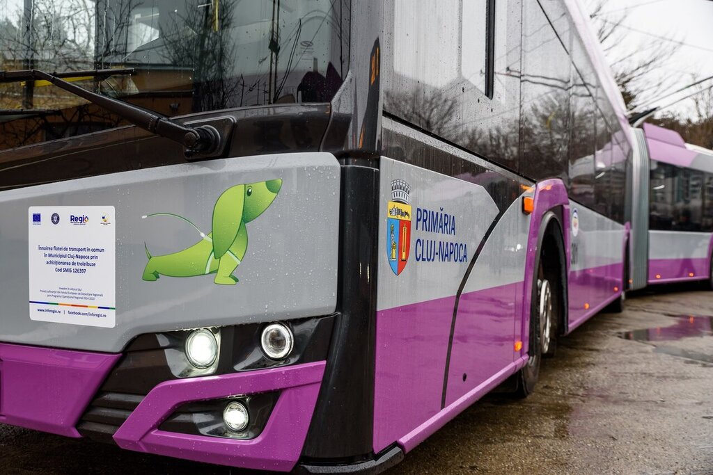 آشنایی با شهر سبز بدون آلاینده اروپا | برقی شدن نیمی از ناوگان حمل و نقل عمومی شهر | روز رایگان حمل و نقل برای همه مردم