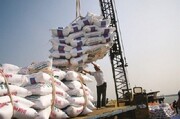منتظر باشید؛‌ برنج ارزان می شود | راه سواستفاده دارندگان برنج ایرانی بسته شد