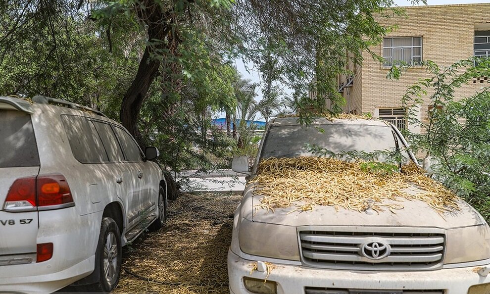 وضعیت عجیب خودروهای میلیاردی در بندرعباس | تصاویر خاک خوردن این خودروها را ببینید