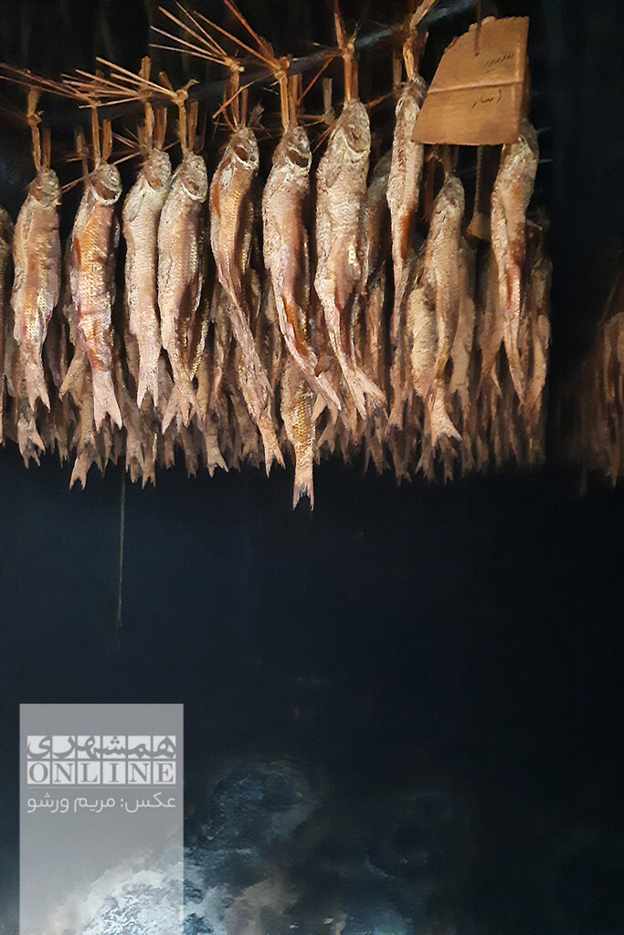 ببینید | سفر به دودخانهای که طعم ماهی دودیاش را چشیدهاید | خاطره هوشنگ ابتهاج از خانه پدریاش؛ درخت انار که گل میکرد ماهی دیگر شور شده بود