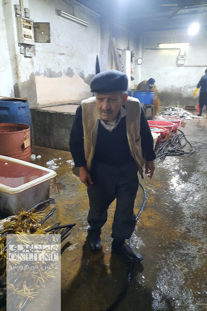 ببینید | سفر به دودخانهای که طعم ماهی دودیاش را چشیدهاید | خاطره هوشنگ ابتهاج از خانه پدریاش؛ درخت انار که گل میکرد ماهی دیگر شور شده بود