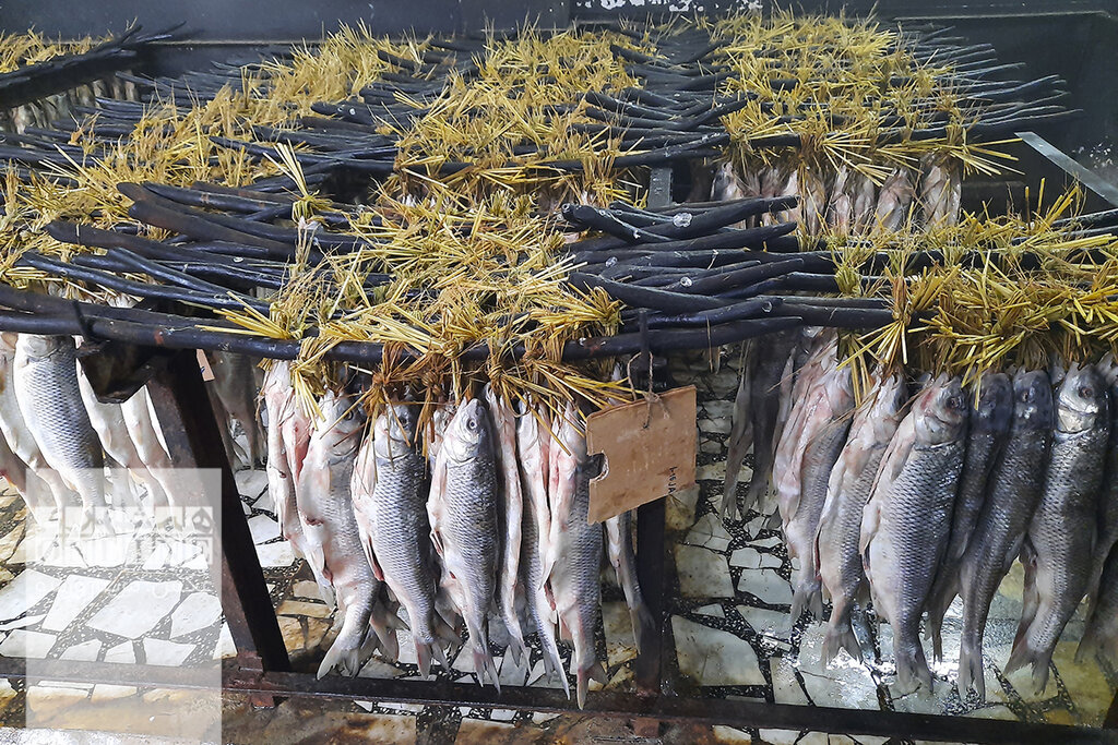 ببینید | سفر به دودخانهای که طعم ماهی دودیاش را چشیدهاید | خاطره هوشنگ ابتهاج از خانه پدریاش؛ درخت انار که گل میکرد ماهی دیگر شور شده بود