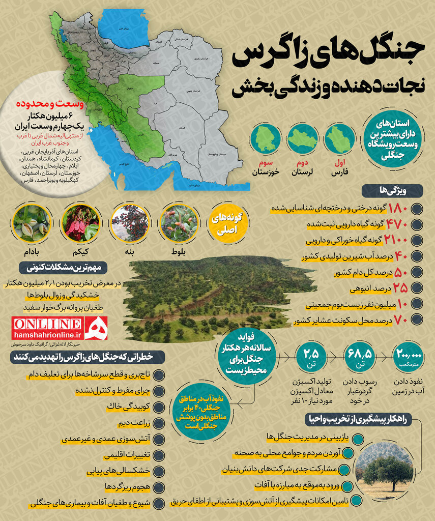 اینفوگرافیک | جنگل‌های زاگرس چطور بقای ایران را تضمین می‌کنند؟