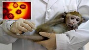 ایران واکسن آبله میمون وارد می‌کند؟