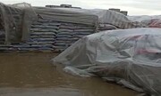 واکنش گمرک به برنج‌های وارداتی آب گرفته در بارندگی شدید زاهدان