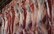 اعلام قیمت جدید گوشت در بازار | هر کیلو سرسینه گوسفندی ۶۵ هزار تومان