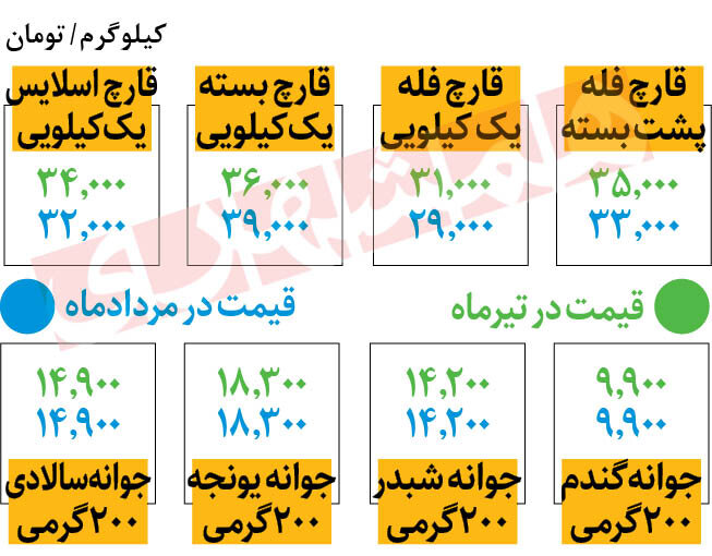 قیمت جدید قارچ در میادین | قارچ فلهای کیلویی چند؟