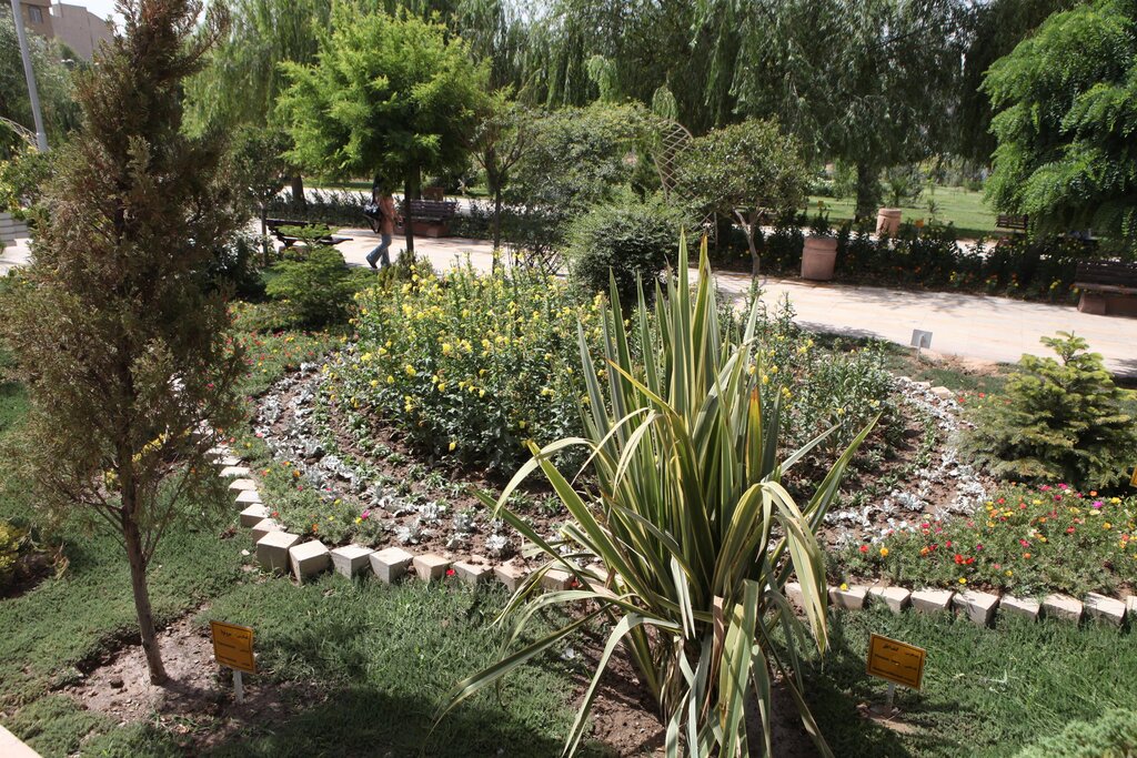 داستان شکلگیری یک بوستان در زمینهای کشاورزی | رایگان با کاشت انواع گیاهان دارویی آشنا شوید