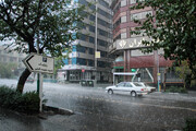 دیروز بیشترین باران در شمیرانات بارید | بارندگی در نقاط دیگر استان چقدر بود؟