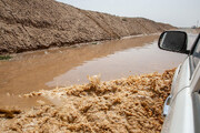 اولین تصاویر از سیلاب وحشتناک در مازندران | «پلنگ آبرود» طغیان کرد