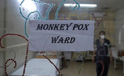 نیویورک آبله میمونی را «تهدید فوری برای بهداشت عمومی» اعلام می‌کند