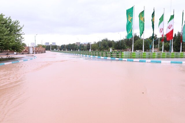 سیل