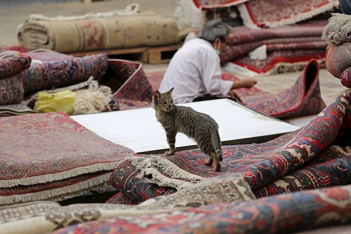 داستان سرای رحیمیه | خانه برادر شاه پاتوق فرشفروشها