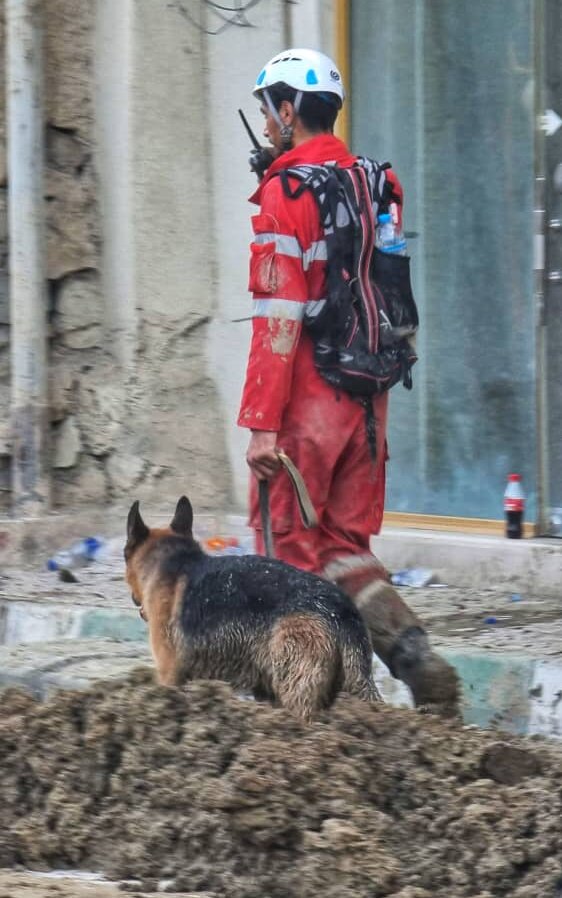 چرا بالگرد رئیس جمهور در باغ گردو فرود آمد؟ | بگویید همین جا فرود بیایند ... | عکس های این فرد ضد شایعه است