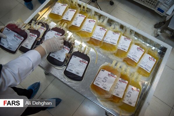 مأموریت عروس و داماد در مرکز اهدای پلاسما چه بود؟ | ۳۰۲ نوبت اهدا برای پرداخت بدهی!