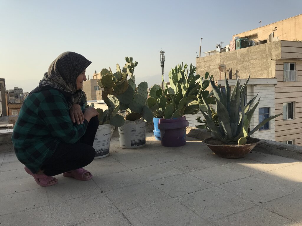 زندگی روستایی پرستار گلها روی بام