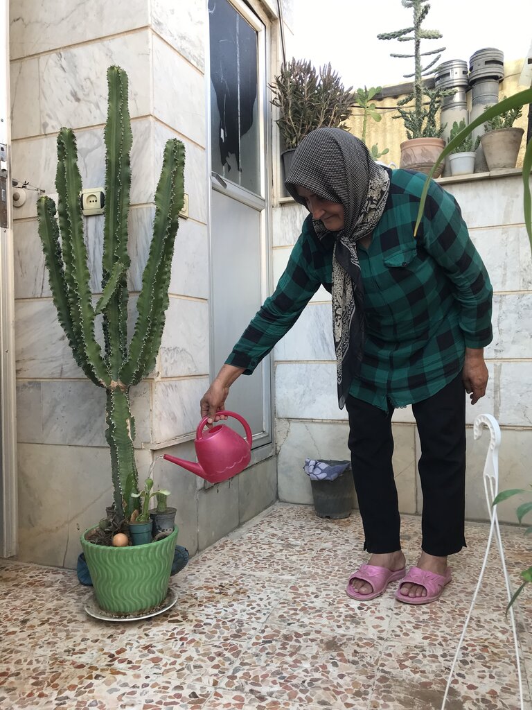 زندگی روستایی پرستار گلها روی بام