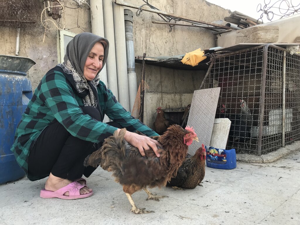 زندگی روستایی پرستار گلها روی بام