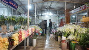 بازار گل محلاتی کوچک‌تر می‌شود | بازگشایی پارک بسیج تا پایان مرداد | زیباسازی بخشی از بزرگراه امام علی (ع)