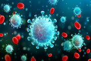 ویروس «پیرولا» در یک‌ قدمی شیوع گسترده | نگرانی شدید کارشناسان بهداشت عمومی