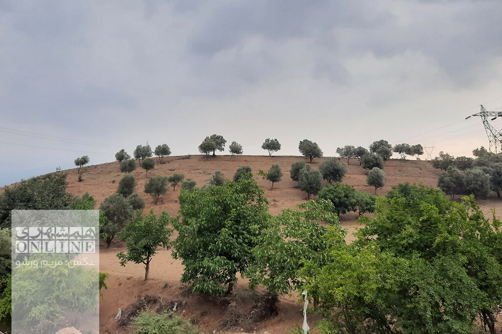 ببینید | لوکیشن فیلم خانه دوست کجاست؟ | کوکر؛ روستای زلزلهزدهای که کیارستمی دوستش داشت | سفر از کوکر تا پُشته