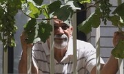 قتل پدر معروف‌ترین قاضی جنایی ایران |  صحبت از «جنایت» سر میز شام!