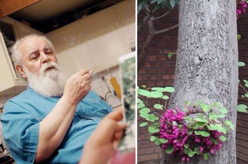 خانه ابتهاج