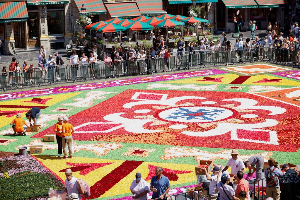 تصاویر زیباترین فرش‌های گل جهان | راهکار بروکسل برای پهن کردن یک فرش گل زیبا | وجه تمایز فرش گل محلات و فرش گل کرج را ببینید