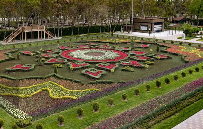 تصاویر زیباترین فرشهای گل جهان | راهکار بروکسل برای پهن کردن یک فرش گل زیبا | وجه تمایز فرش گل محلات و فرش گل کرج را ببینید