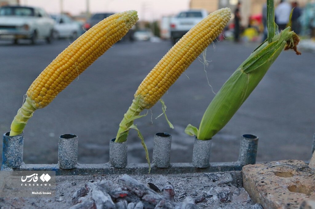 روش درست نگهداری بلال در خانه | نحوه نگهداری طولانی مدت از بلال که نمیدانستید