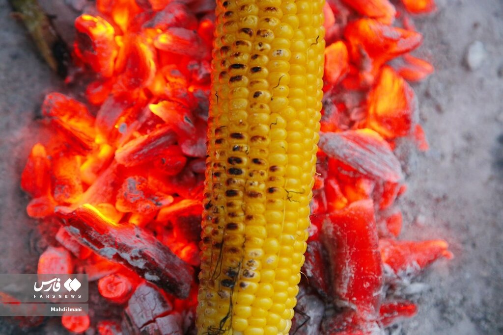 ذرت چه خواص و ویتامین هایی دارد؟