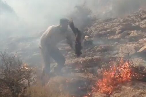 ویدیویی از محیط‌بان برومند نجفی در تلاش برای مهار آتش سوزی مراتع و منابع طبیعی