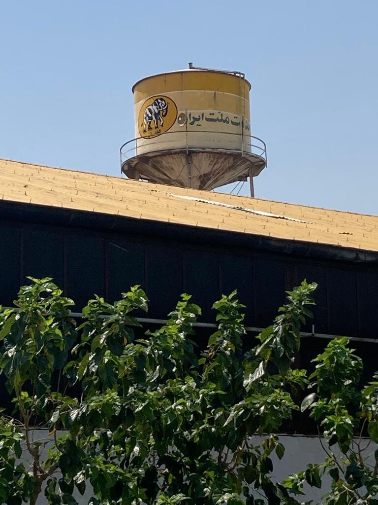 نخستین برند کفش ایرانی کجا و چه سالی تولید شد؟ | کسب و کار جدید در کارخانه کفش ملی