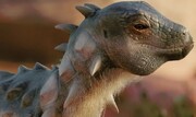 کشف گونه‌ای از دایناسور به اندازه یک سگ! | جاکاپیل؛ ترسناک اما گیاه‌خوار