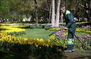 آبیاری فضای سبز تهران تغییر کرد | جزییات روش جدید از زبان رئیس سازمان بوستانها