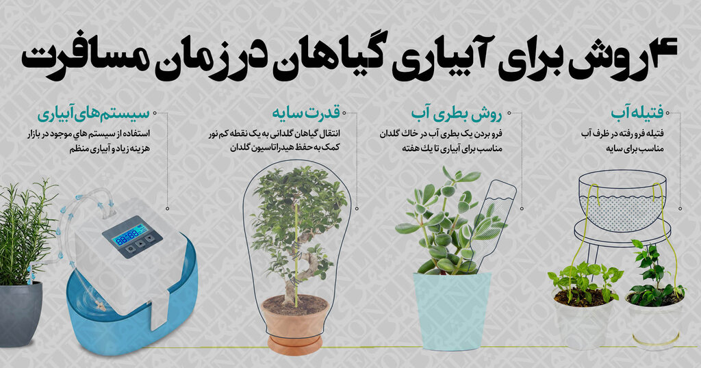 اینفوگرافیک | ۴ روش خلاقانه برای آبیاری گیاهان آپارتمانی در طول مسافرت