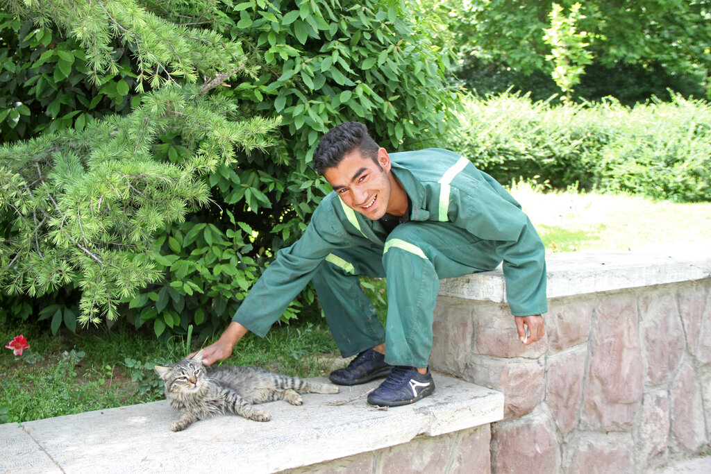 بوستان گربههای پایتخت کجاست؟ + تصاویر