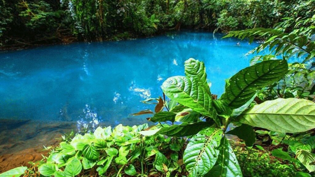 لذت آبتنی در سکونتگاه انسانهای اولیه