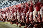کاهش قیمت گوشت گوسفندی در میادین | راسته گوسفندی کیلویی چند شد؟
