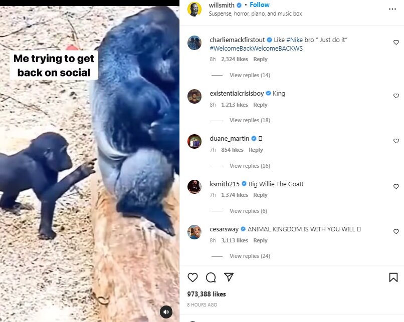 بازگشت ویل اسمیت به زندگی عادی | بازیگر جنجالی اسکار فعالیت خود را آغاز کرد