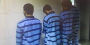 دستگیری ۲۸ نفر از مرتکبین مسائل غیراخلاقی در شب عاشورا | کشف بی سیم و لوح‌های فشرده مستهجن