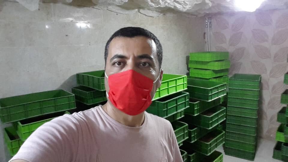 یک جفت سوسک شاخدار، ۸ تا ۱۵ میلیون تومان!