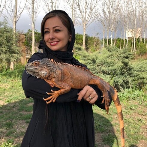 رویت مار بوآ و پیتون در خانه تهرانیها