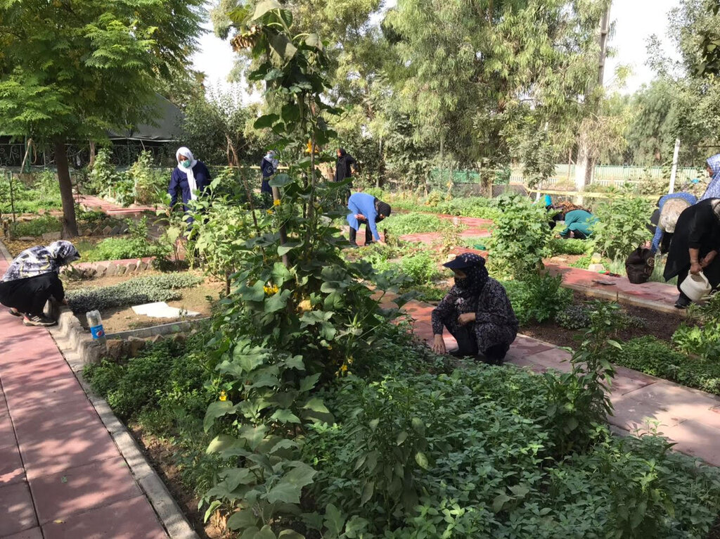 چه خبر از مناطق؟ از جشنواره طعم خنک طبیعت تا اجرای برنامه های سلامت محور ویژه سالمندان در شهر