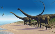 رد پای غول‌پیکرترین دایناسور جهان را ببینید