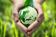 ۸ راهکار ساده برای کمک به محیط زیست