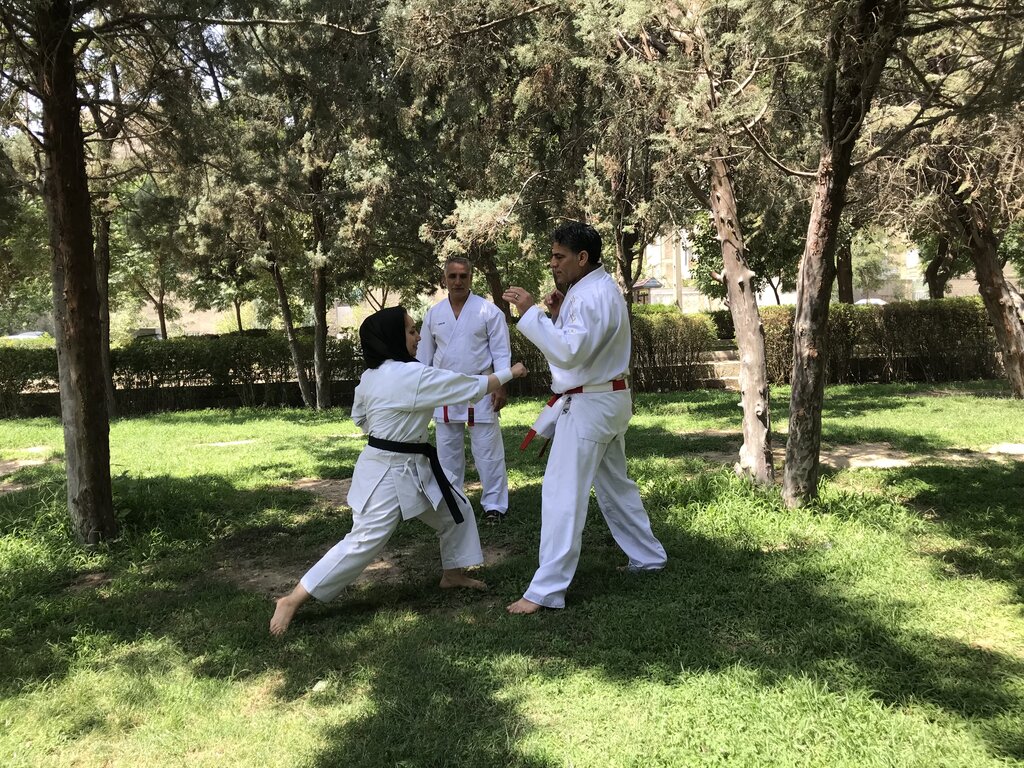 کاراته فامیلی، نوری