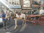 تصویر زنده یک نوستالژی در تهران | توافق «کری» و «حسام» برای یک لقمه نان |‌ معاف از مالیات و عوارض