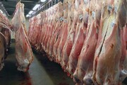 قیمت یک کیلو ماهیچه گوسفندی | جدول جدیدترین قیمت گوشت گوساله و گوسفند در بازار