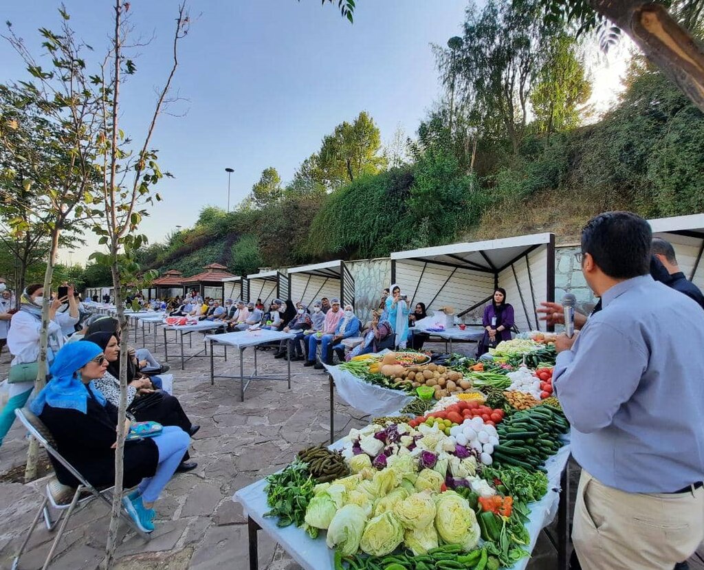 تصاویر | سامان گلریز داور یک جشنواره خاص شد | سالاد پزی به سبک کودکان اتیسم!